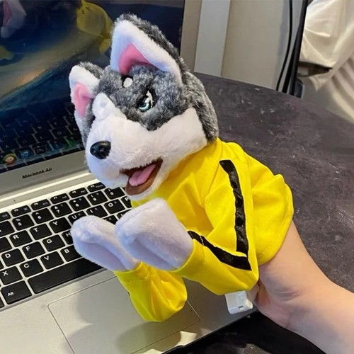 Kung husky boxing - kung,